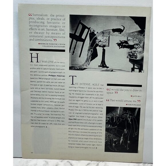 Purina Hi Pro Dog Food Print Ad Vintage 90s Active Dogs Stick Throwing - Picture 3 of 5